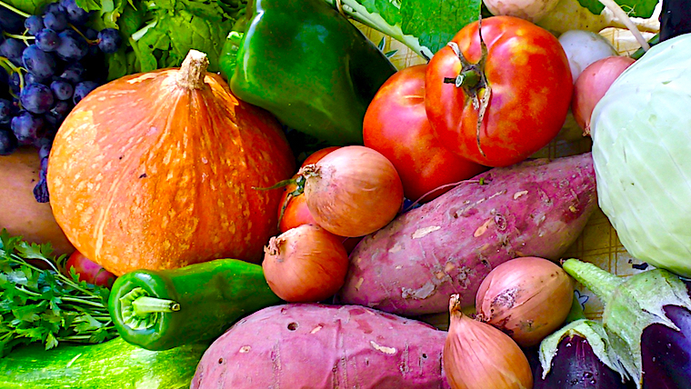 potimarron 2