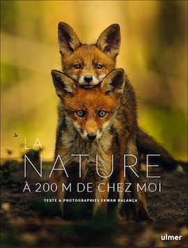 ulmer nature sq