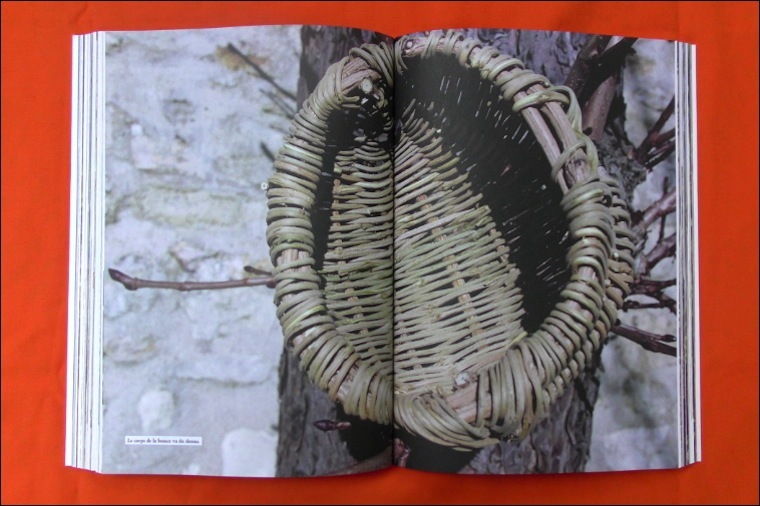 La Vannerie avec des Plantes Sauvages éditions Ulmer Nice RendezVous rayon Livres