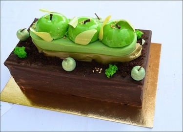 S50 buche kakou