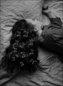noel papillon