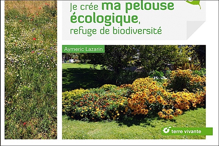 Je crée ma pelouse écologique, refuge de biodiversité aux éditions Terre Vivante Nice RendezVous rayon Livres
