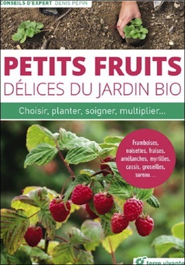 petits fruits bio sq