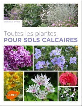 plantes calcaires sq