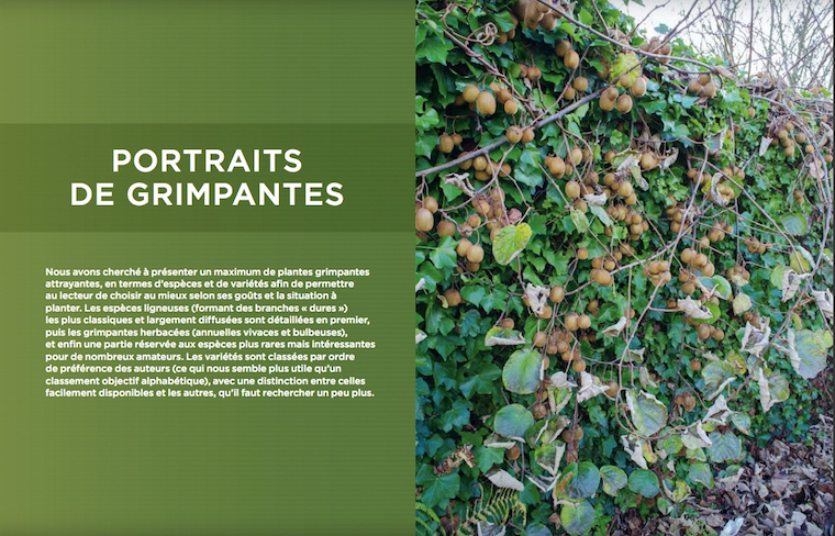 Toutes les plantes grimpantes chez Ulmer Nice RendezVous Livres de Jardinage
