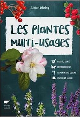 plantes multi usages sq