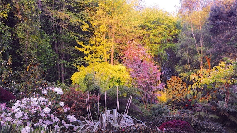 Beaux Livres Nature & Jardin chez Ulmer Nice RendezVous rayon Livres