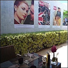 candille-pergola
