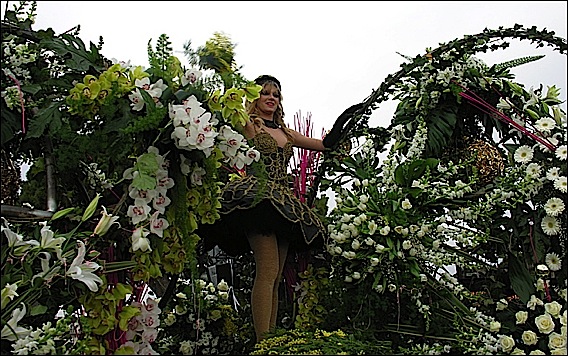Février 2011 à Nice Menton et sur la Riviera Côte d’Azur Carnaval, Corso, Citron et Mimosa::Carnaval de Nice corso fleuri 2010 carnaval-2011-lg1