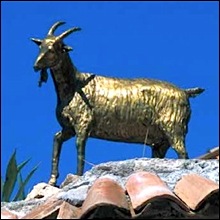 chevre-or-5-etoiles