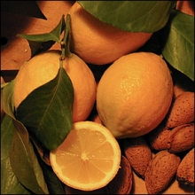 citron-menton_copy