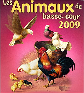 grasse-animaux