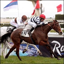 hippodrome-galop