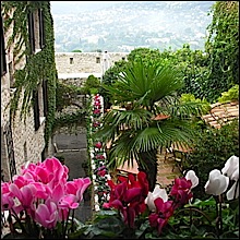 le-saint-paul