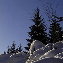 neige-alpes-maritimes