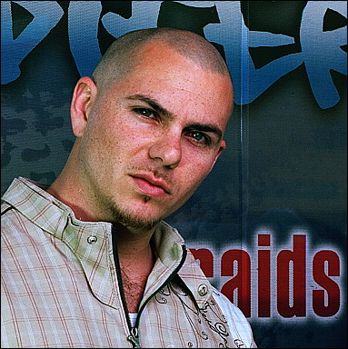 pitbull-palestre