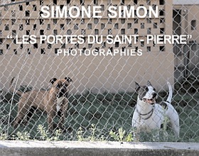 simone-simon