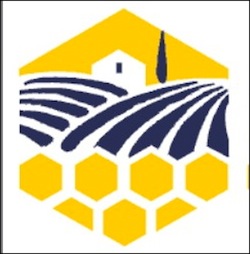 apiculteurs-provence-2014