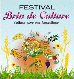 brin-culture-2014