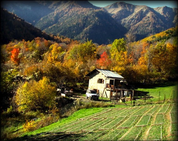 cabane-safran-lg