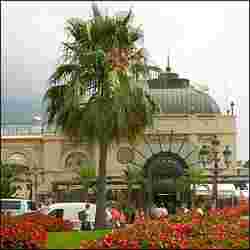 cafe-de-paris-sq