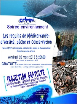 cdmm-requins