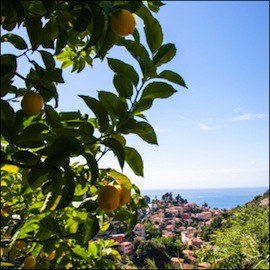 citron-menton