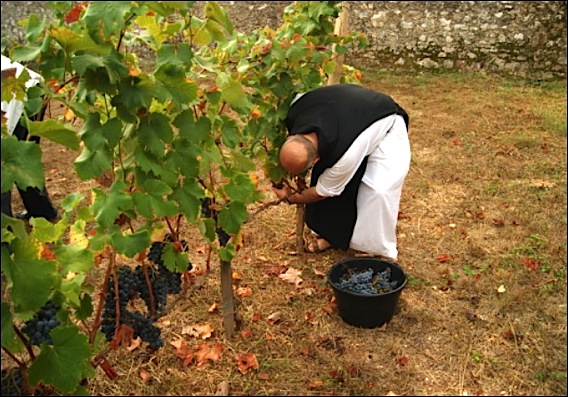 clos-charite-vendanges-lg