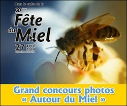 concours-photo-miel