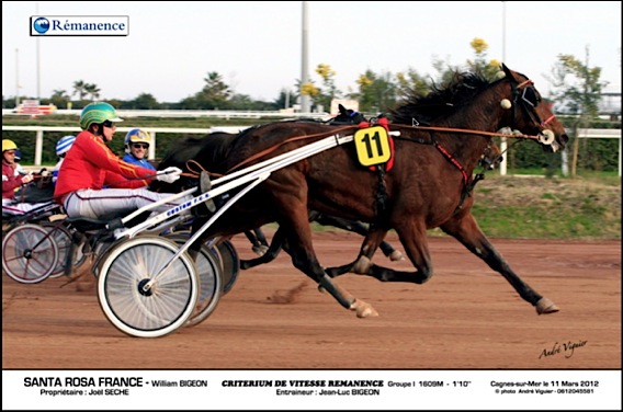Grand Critérium de Vitesse Nice Côte d’Azur à l’Hippodrome de Cagnes sur Mer::photo André Viguier 2012 criterium-vitesse-lg1