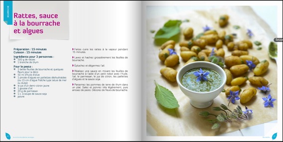 cuisine-plantes-sauvages-lg2