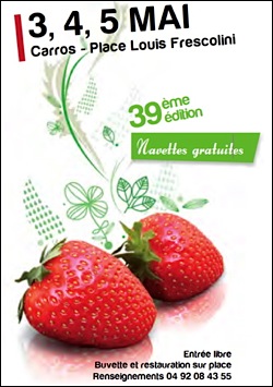 fraises-carros-2013