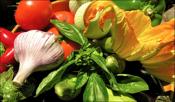 Les légumes de Nice::Production locale de légumes de Nice pour la salade niçoise et le pan bagnat legume-nice