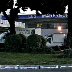 mareyeur-sud-est-s