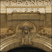 musee-monaco-morse