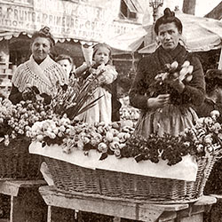 nice-marche-aux-fleurs