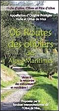 routes-oliviers