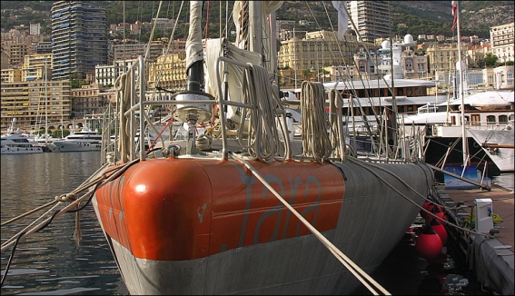 tara-monaco-lg