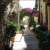 imagette