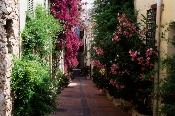 rue-vieil-antibes