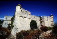 nice-fort-du-mont-alban