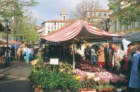 nice-marche-aux-fleurs