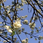 En Mars 2026, Fêtes, Salons et Manifestations à ne pas manquer sur la Côte d’Azur et Monaco