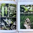 Délicieuses Racines Sauvages de Gauthier Saillard Nice RendezVous rayon Livres de Nature