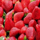 Dans le Carnet de Nice RendezVous 2026, semaine 17 - Du Miel et des Fraises