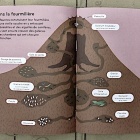 Insectorama, Le monde fascinant des Insectes par Lisa Voisard Nice RendezVous rayon Livres de Nature