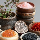 Le Salon Monte-Carlo Gastronomie 2025, un Avant-Goût des Fêtes 