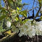 Dans le Carnet de Nice RendezVous 2026, Semaine 15 - Vacances de Printemps