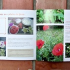 Recettes Faciles de Plantes Sauvages Sans Gluten Nice RendezVous rayon Livres