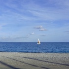 Dans le Carnet de Nice RendezVous 2026, Semaine 3 - Voir loin !